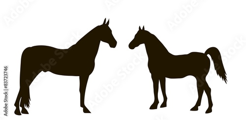 silhouettes of horses standing