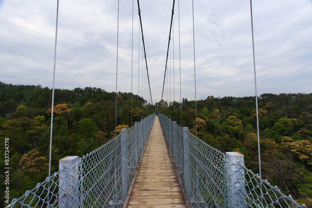 Suspension bridge over nature scene Suspension bridge over nature scene