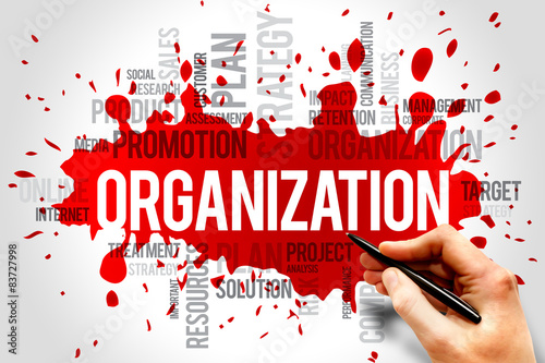 ORGANIZATION word cloud, business concept photo