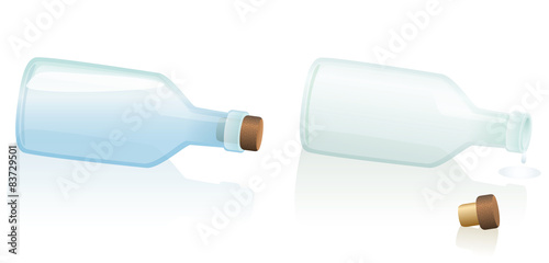 Lying Fallen Bottle Corked Uncorked