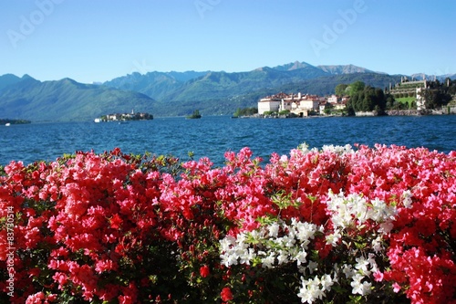 Isola Bella, Isola Pescatori - Stresa Waterfront blooming