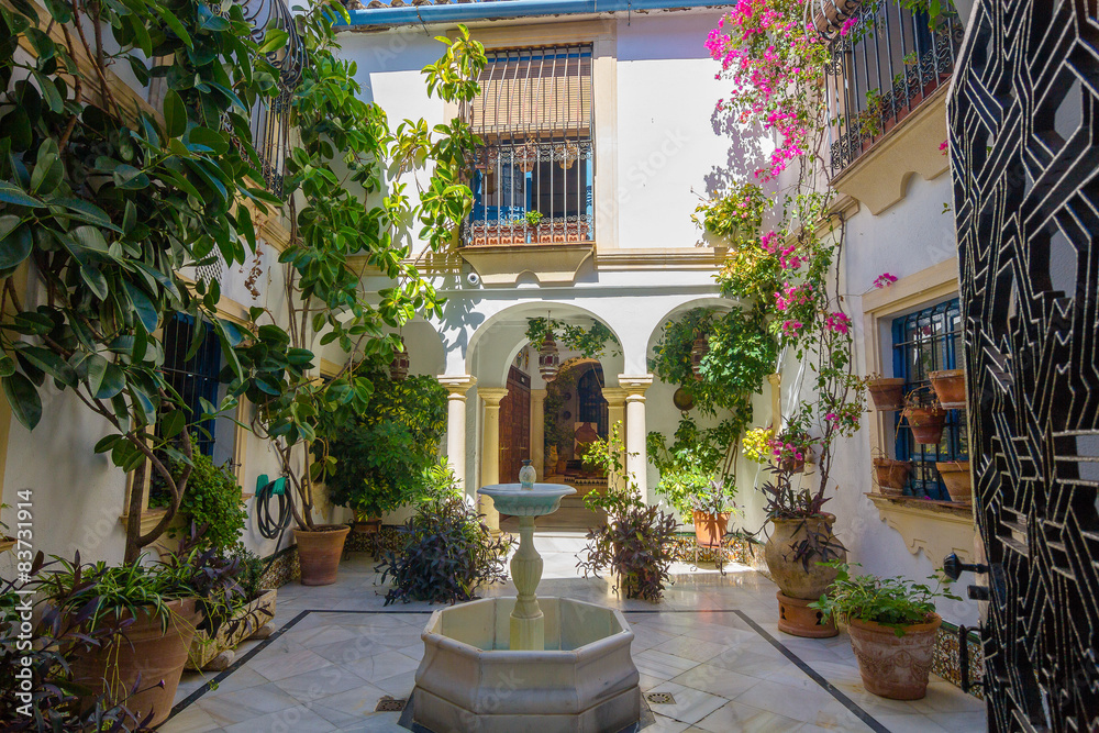 typical Andalusian courtyard decorated with flowers in the city