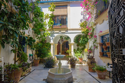 Fototapeta Naklejka Na Ścianę i Meble -  typical Andalusian courtyard decorated with flowers in the city