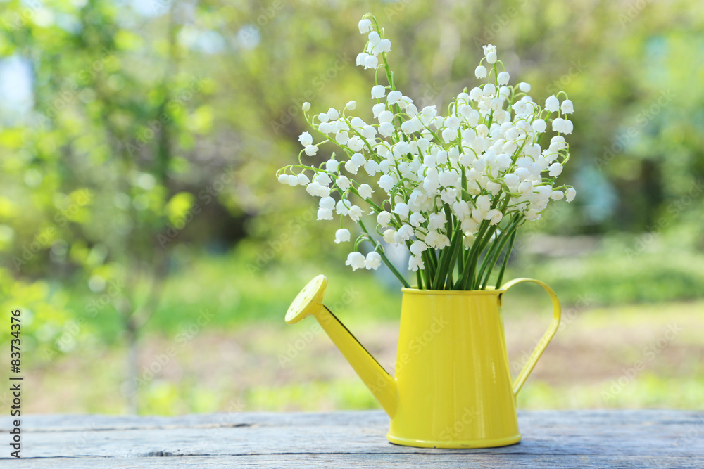 Lily of the Valley in watering can on grey wooden background, ou - obrazy, fototapety, plakaty 