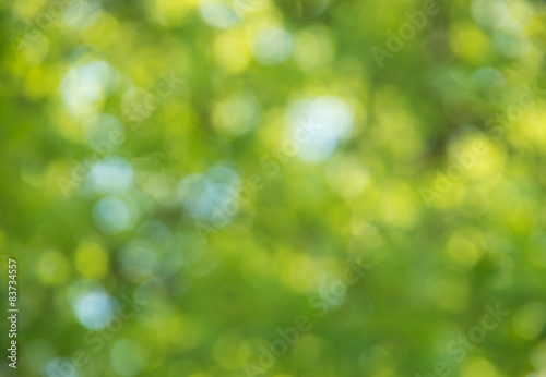 Natural green blurred background.