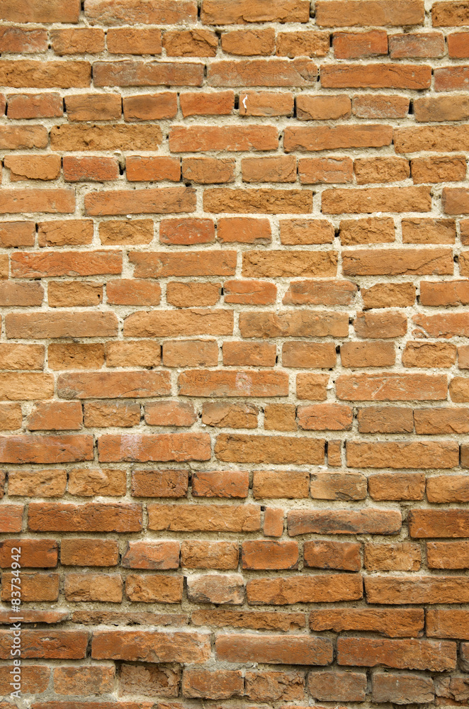 Obraz premium Brick wall
