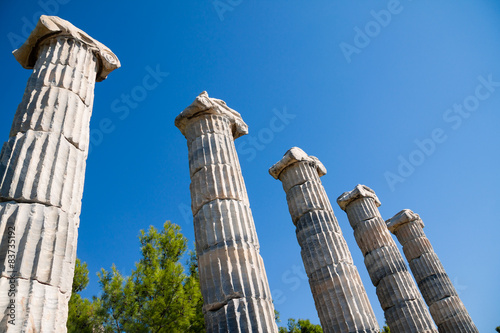Priene, Ionic columns in Temple of Athena, Turkey