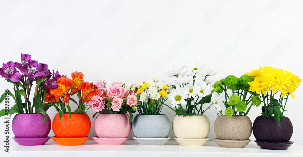 Beautiful flowers in pots on shelf on wall background