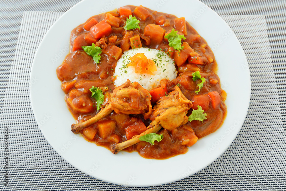 美味しそうなカレーライス 美味しそうなカレーライス