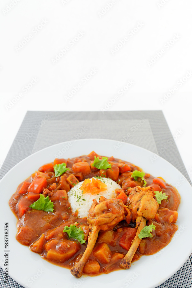 美味しそうなカレーライス 美味しそうなカレーライス
