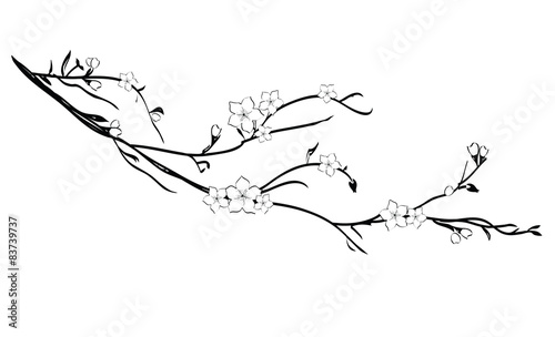 Fototapeta Naklejka Na Ścianę i Meble -  Cherry tree branch with flowers
