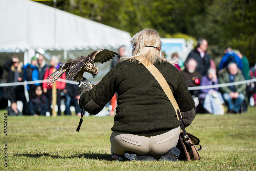 Fototapeta premium Falconry lady
