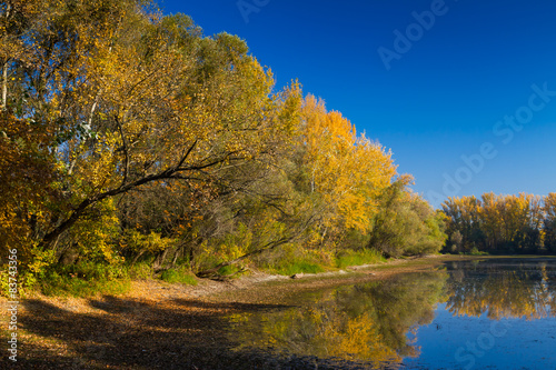 Autumn scenery inside Natural reserve in South Slovakia.