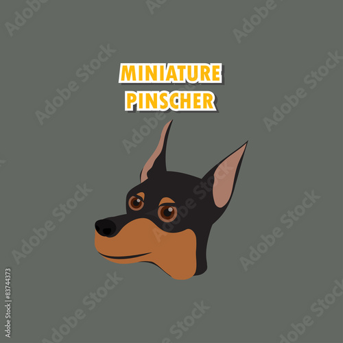 Miniature Pinscher