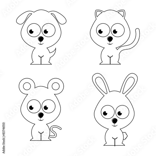 animal cute