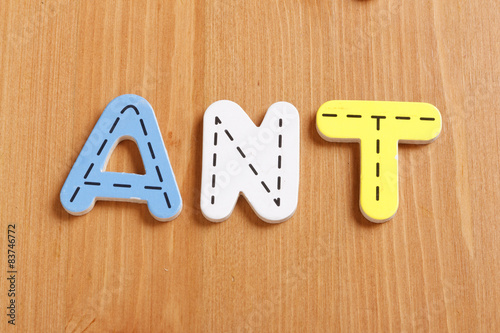 Wallpaper Mural ANT, spell by woody puzzle letters with woody background Torontodigital.ca