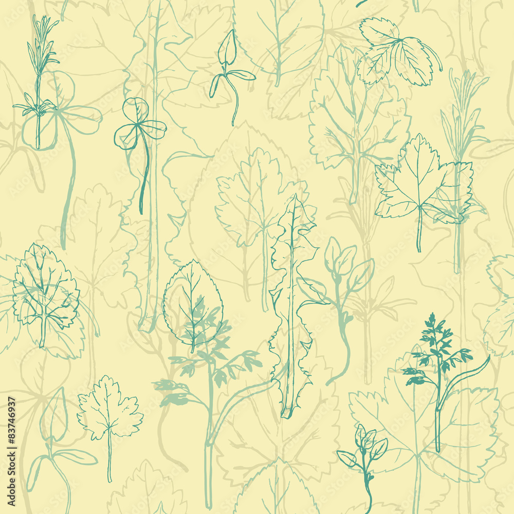 Seamless pattern with herbs and leaves Seamless pattern with herbs and leaves