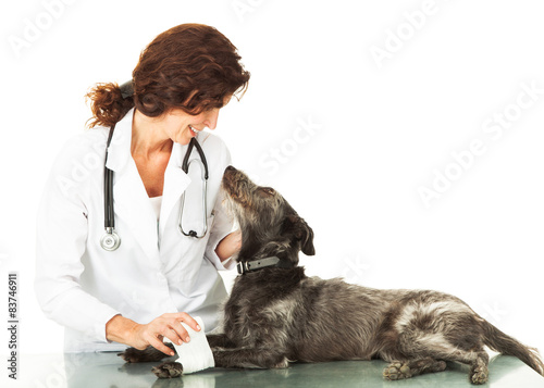 Injured Dog Looking Up at Caring Veterinarian