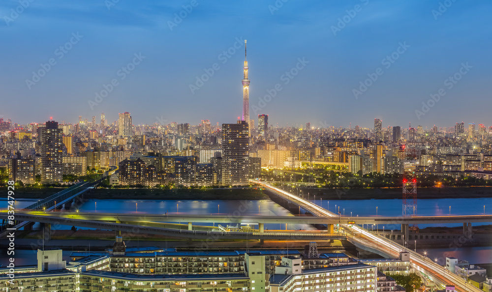 Obraz premium Beautiful panorama view of Tokyo city in evening