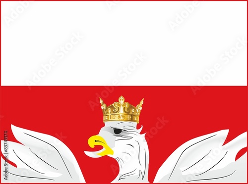 tło z orłem,