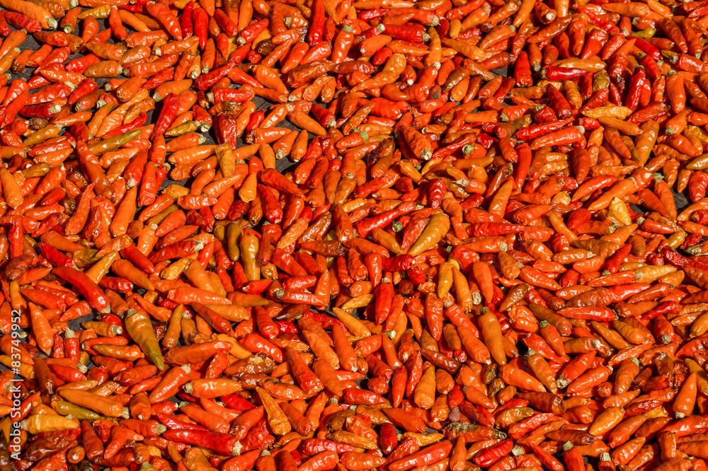 Fototapeta premium Ripe dried red Thai chili peppers