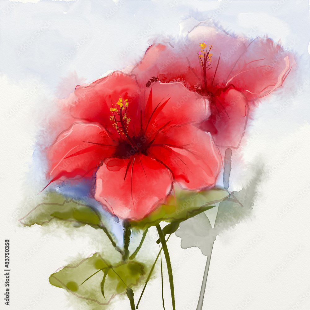 Watercolor painting red hibiscus flower Stock Illustration | Adobe Stock