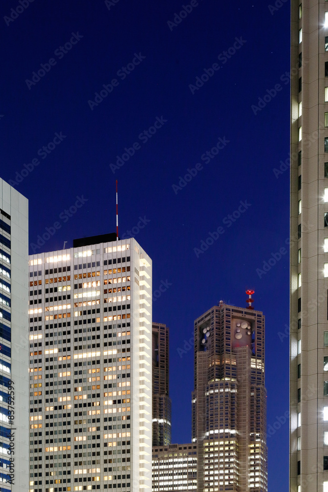 Fototapeta premium 新宿高層ビルの夜景 