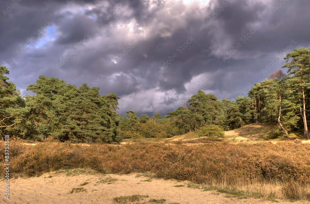 dark clouds over woods landscape in Veluwe, The Netherlands