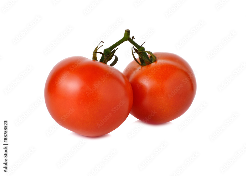 tomatoes with stem on white background tomatoes with stem on white background