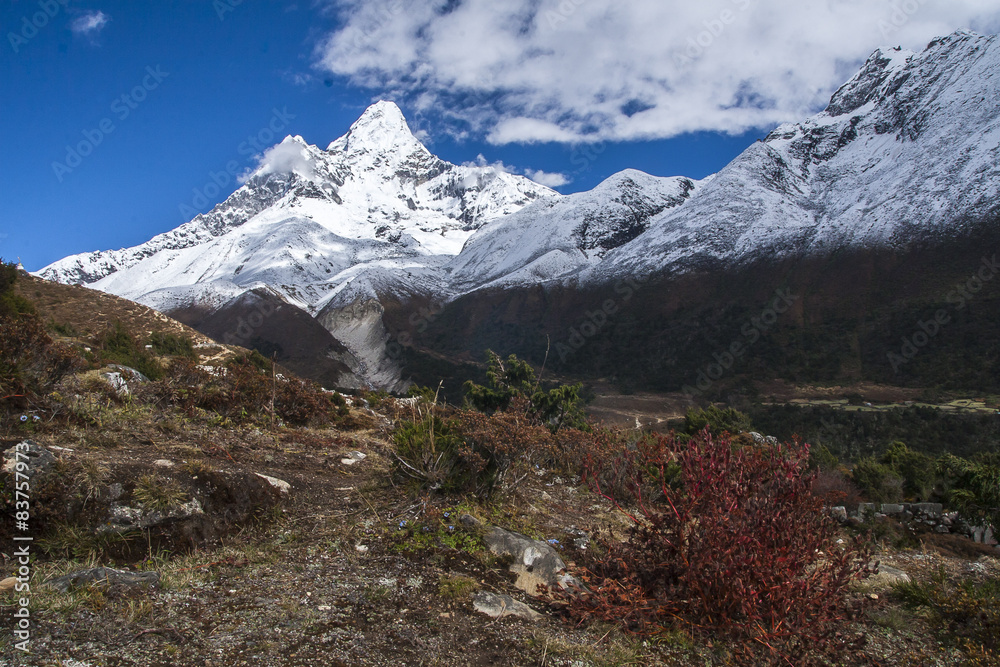 view of Ama Dablam from Pangboche