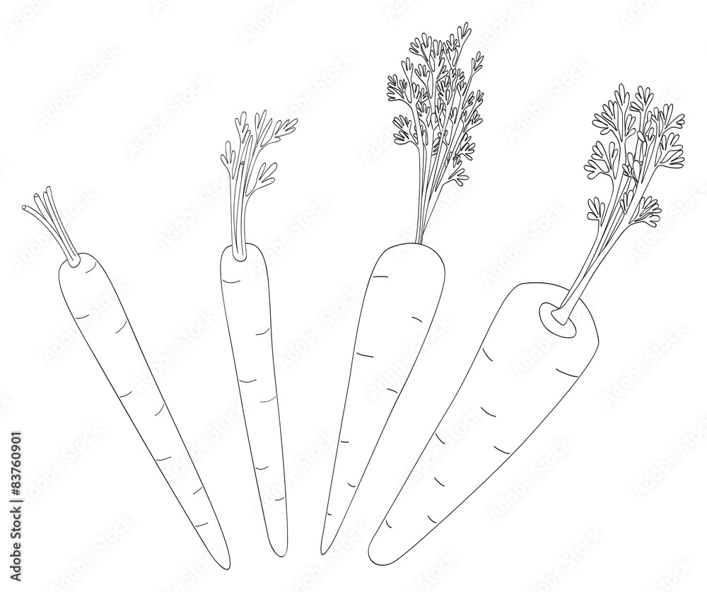Delightful garden - Set of four carrots Delightful garden - Set of four carrots