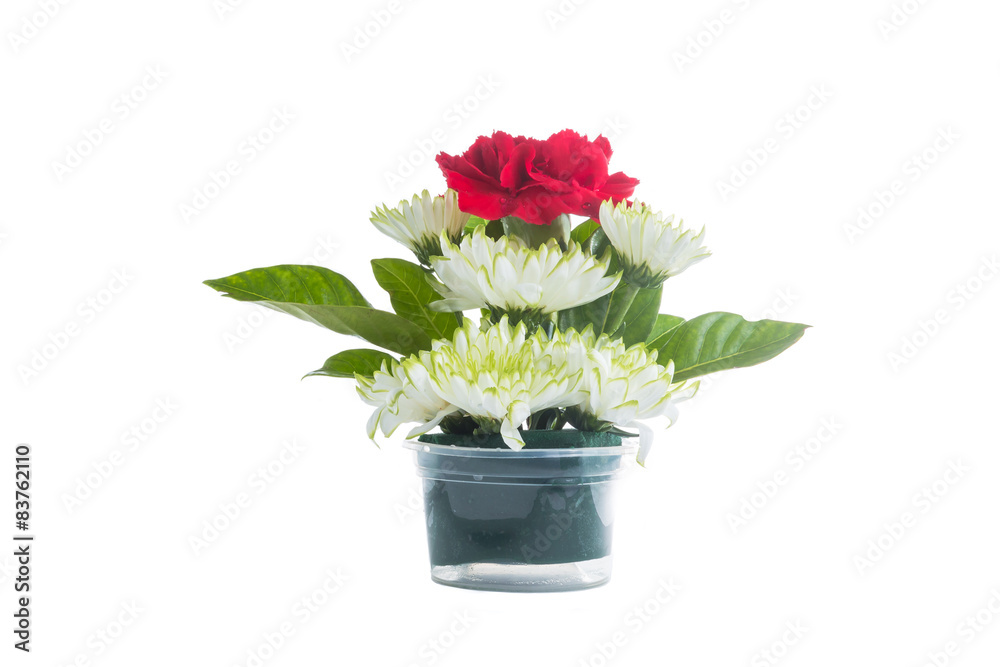 Bouquet of red carnations and chrysanthemum Flower