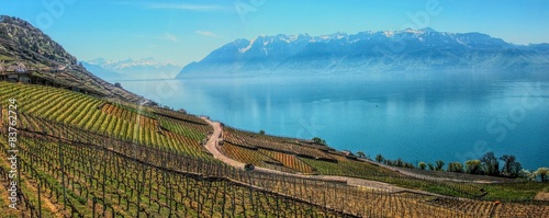 Foto Lake Geneva and terraced vineyards of Lavaux in Swistzerland.