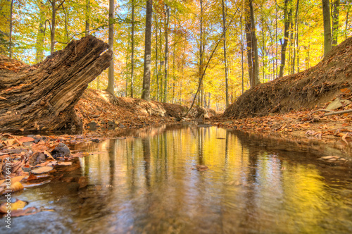 Accotink Park, Virginia photo