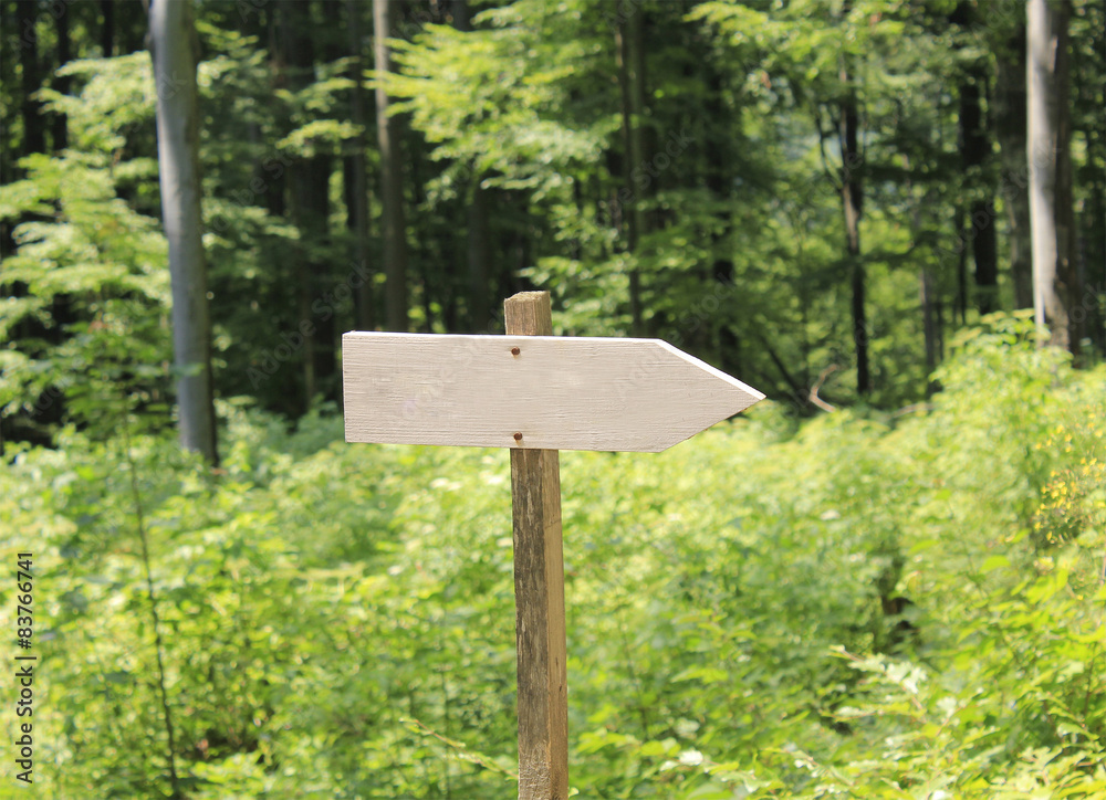pointer in the woods, hand made of wood pointer in the woods, hand made of wood
