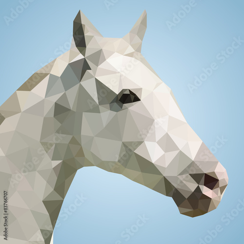 Head of a white horse in triangular style