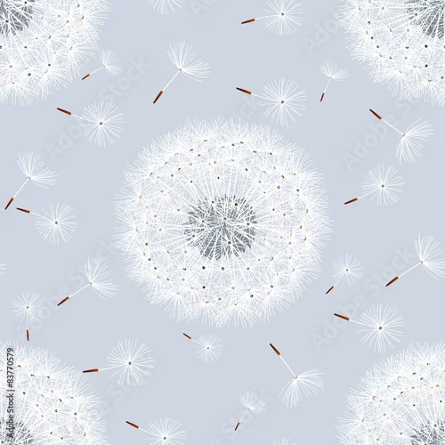 Tapety Wzór szary z kwiatami mniszek lekarski