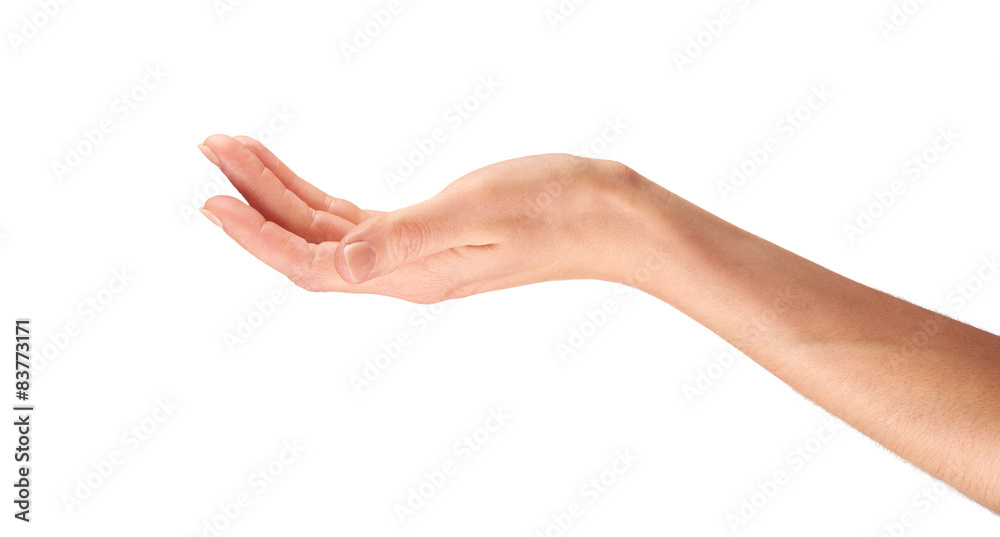 Female Hands