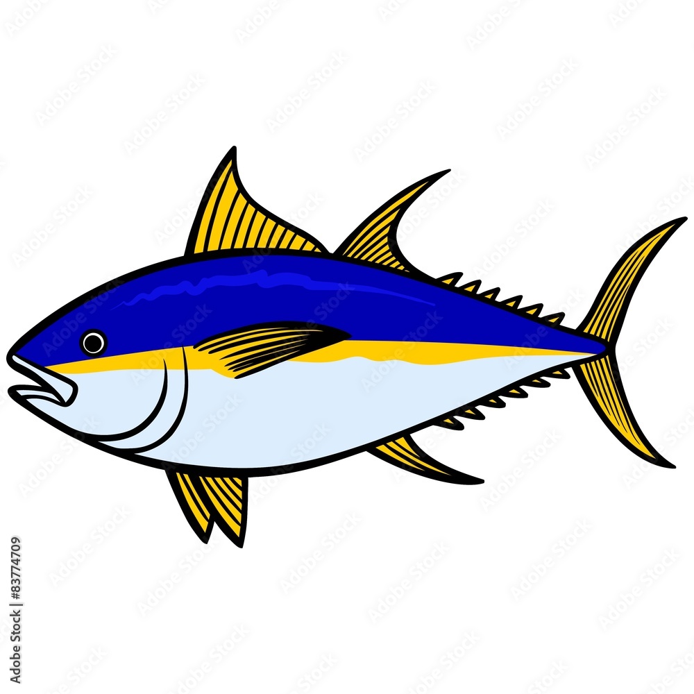 Fototapeta premium Yellowfin Tuna
