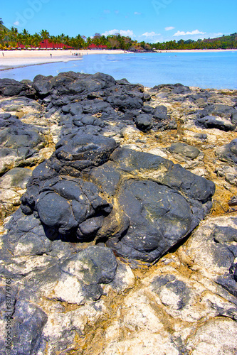 andilana beach seaweed in indian ocean   rock photo