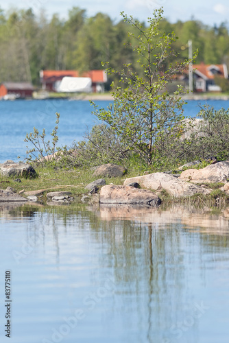 Small island at lake with r...