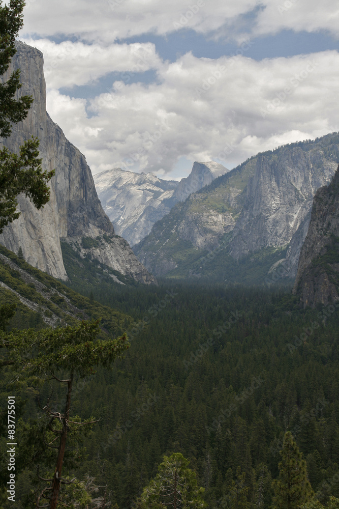 Fototapeta premium Yosemite Valley in the western Sierra Nevada mountains of Califo
