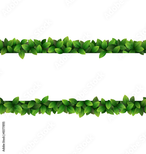  Green leaves seamless frame isolated on white background