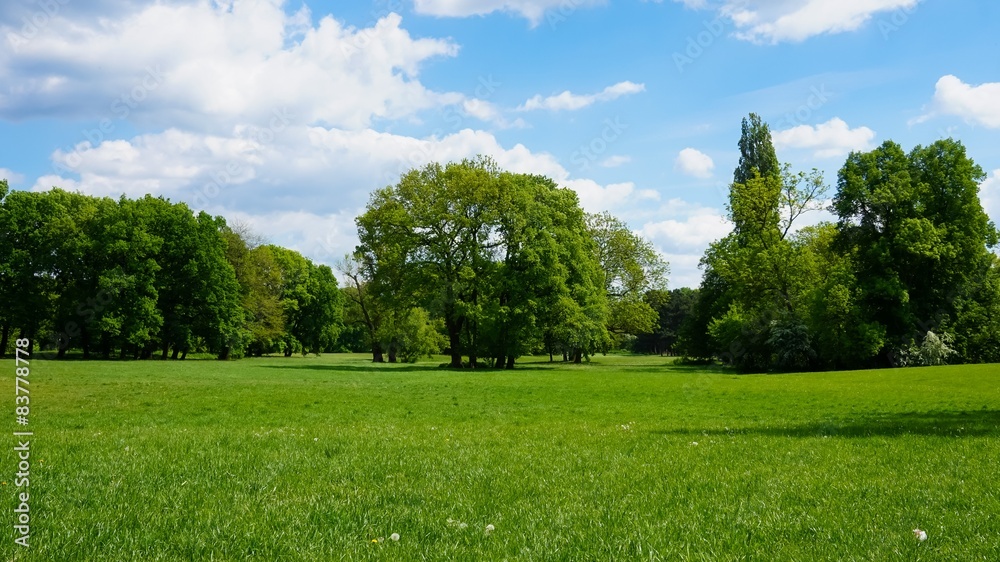 grüne Parklandschaft