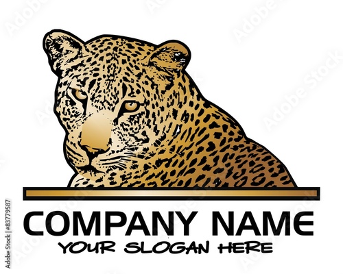 African leopard