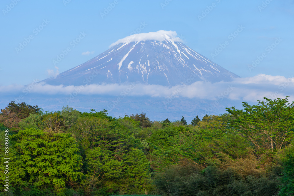 View of Mount Fuji with meadow