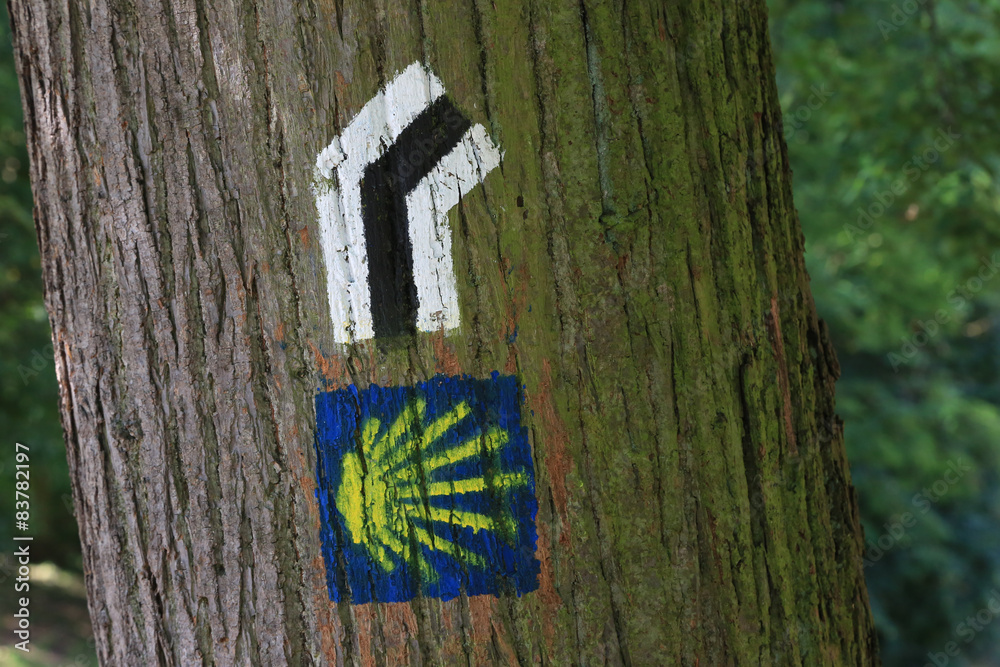 Fototapeta premium Wegweiser auf dem Pilgerweg
