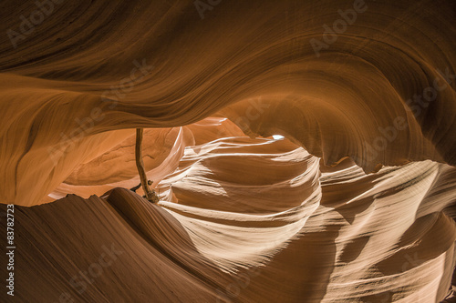 Antelope Slot Canyon, Page Arizona