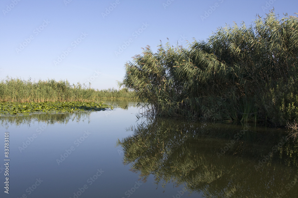 Danube delta landscape