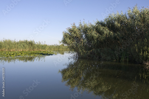 Danube delta landscape